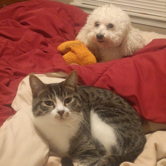 Clothing, Shoe's, Collectibles... - Picture 2 of 4